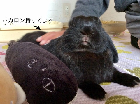 D199E72A-E8B4-4255-9C0D-CDDF72834D61