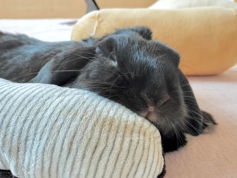 6F8C1170-09AE-47F7-9BCB-4FB1036047D1