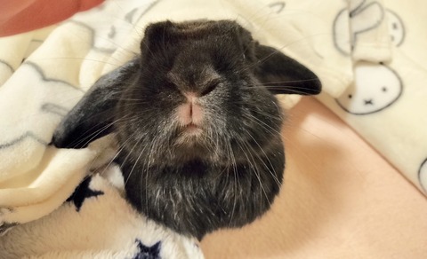 677BFFA9-8C00-4527-98FD-8B395E979A56