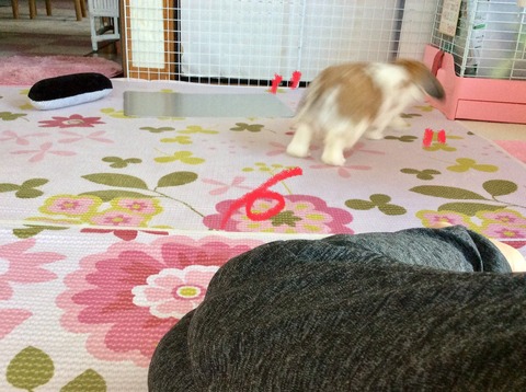 418501E7-6CCF-4E87-862C-8B21A44C65C7