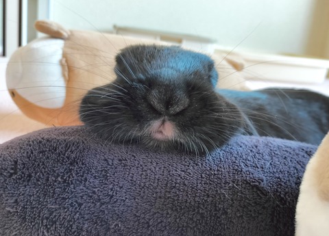 8469F673-33D0-4A18-9990-9136FB86E5DA