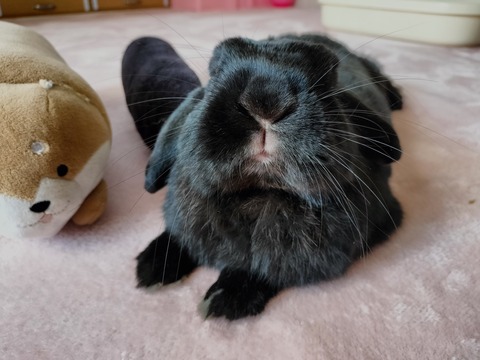 11077651-65F8-4FFE-BEA7-717145BB30C8