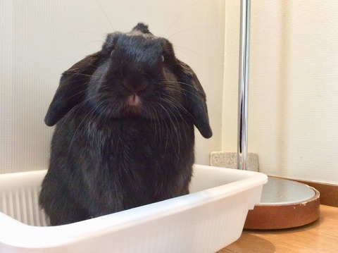 BAFAA106-0B16-48F9-8CAE-7EF564135A8F