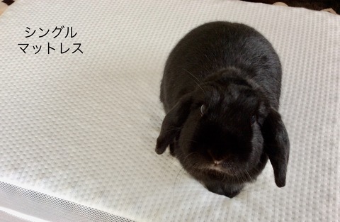 82D3FA53-8110-4215-8695-DE1BF1894F09