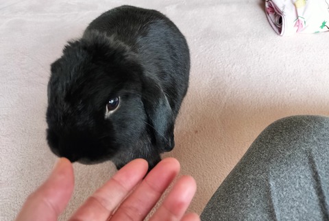 68A803F7-F0DC-4C9E-BE11-88F2C8EEA52D