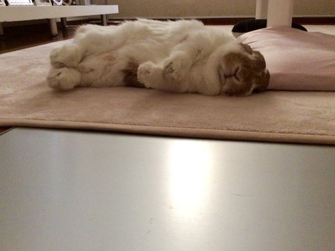 852BE0F8-2325-4009-BAB7-3E3BF01B0F9C