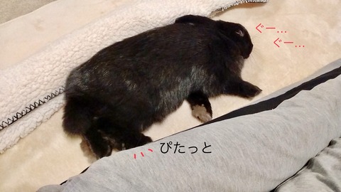 4ECAAC5B-1DE3-4958-A54A-689C75517EF6