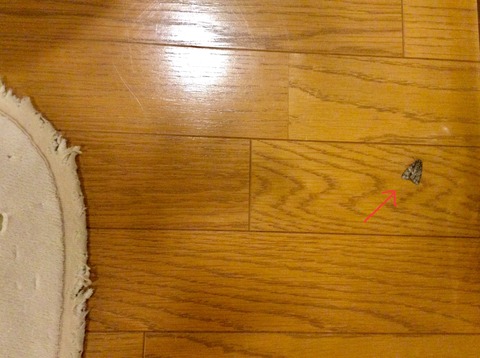 85CF5C8F-CEC6-4409-AE22-47A44D7058B0