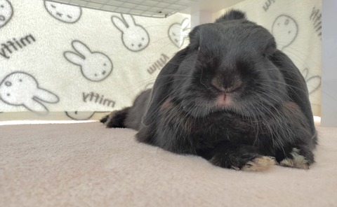 C3CF586D-2801-4E5B-946A-F43937DC9D0F