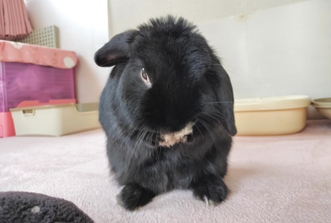 DDA27680-140D-4C37-AAA5-70637DCA41D4