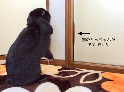 F207C591-2AF9-4B86-8793-3B340D4919F0