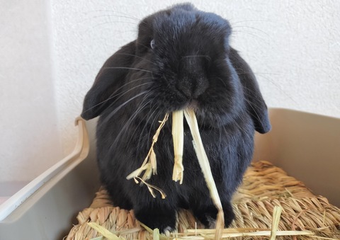 613C7B4B-A209-4AA5-A826-7BD4B2FE5893