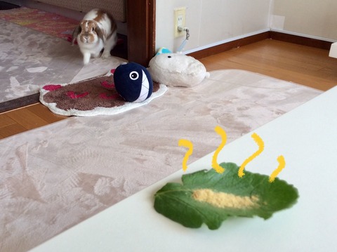 9B706F5D-0FEC-42B8-AF18-B15518712C1F