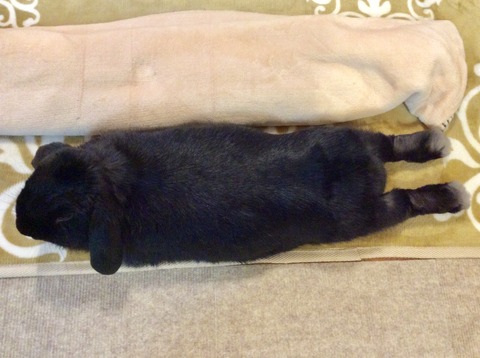 193655DD-B13C-4E93-A359-E734441A34A5