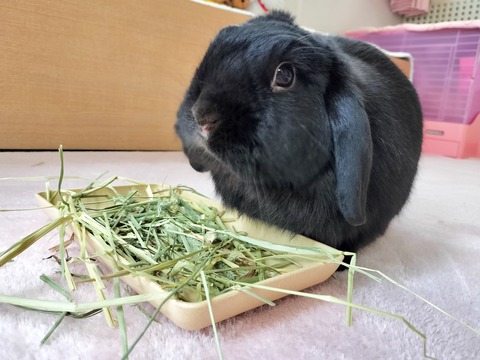 B608B0FC-FB1C-42A9-A9C9-343E6F818528