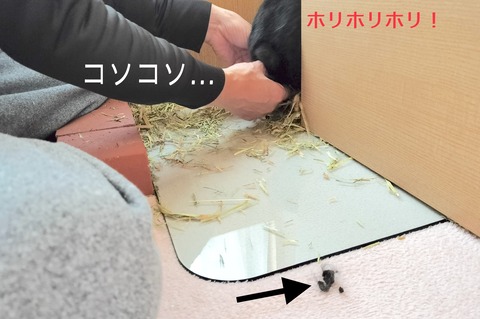 2C7721FA-91A3-40FF-96EE-B1D531723C0E