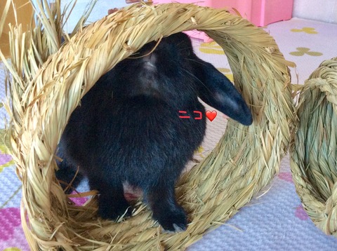 178077C1-AC7F-48E4-AB75-4B41F6880272