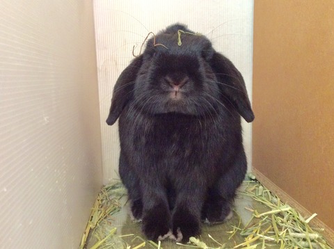 CD14F84E-4D65-401E-ABA8-2415F162C512