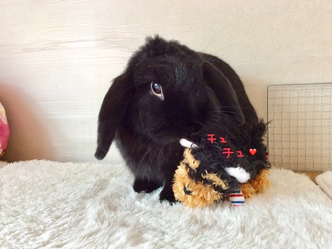 1FD782EF-EFE0-48F9-929A-8816A14EBF55