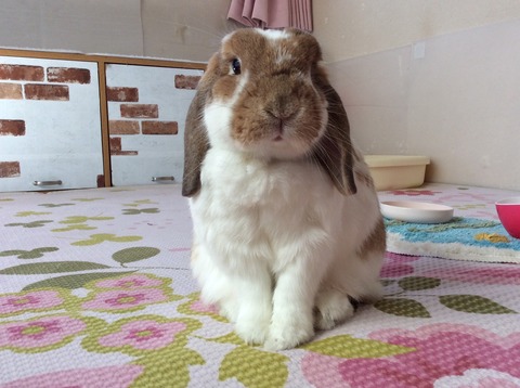 976D133F-97AB-4484-9C45-613848890522