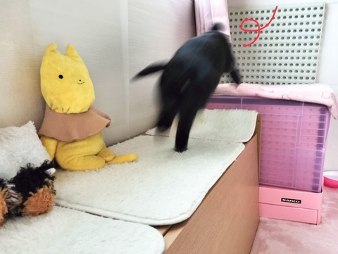 EE1DD012-E438-4F52-B65C-97858A2DAD8C