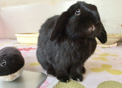 EC7A5FAE-F787-4204-A517-3F2F854ABD26