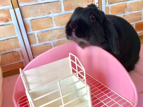 58B4C601-F1BC-4B1C-A3BA-7CFE4B161189