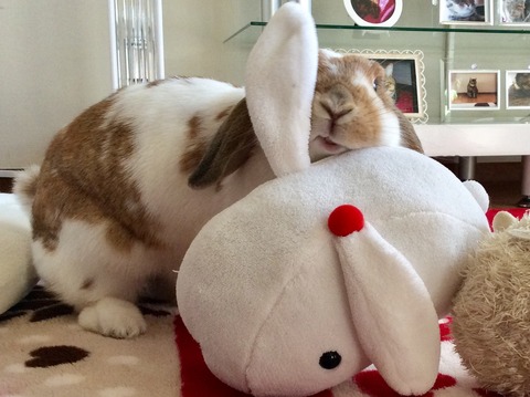 2C58046C-6A98-4EF5-8248-B2C355DE8B31