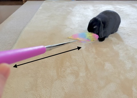 EDDD9C7F-CE67-4F3F-BABD-D6D30224ABB4