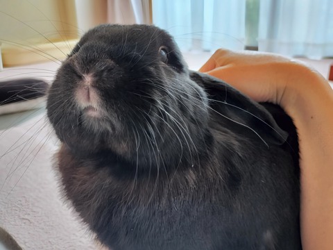 FEFCE056-AB85-4490-A9E5-405BFBBB3894