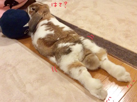 3F150271-6B7C-4F0E-B680-EC4752420D9C