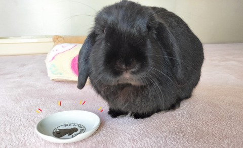 3BA72388-BC39-42B3-A68D-094E8649D8D6