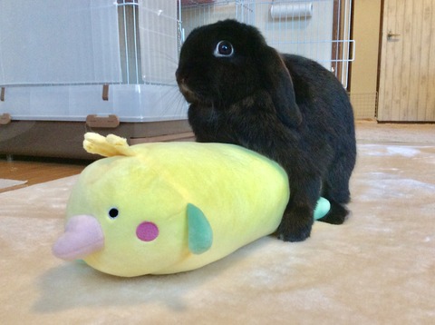 960895A1-545D-4533-8853-AE36595A069C