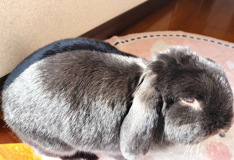 B478D799-EF2B-4C3B-B0FE-D3358109FE3E