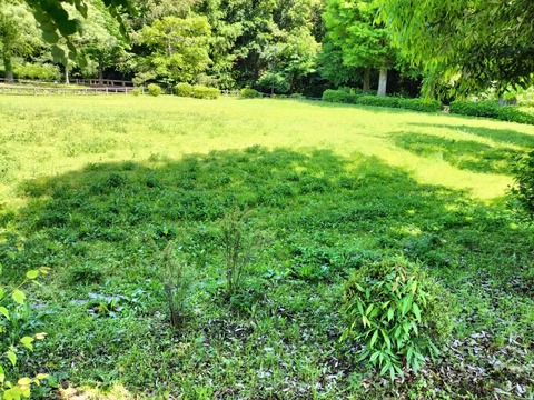 1BB3B7AC-5886-40E9-9076-9B755C9D07B1