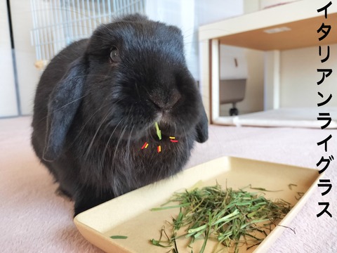 90B4F31A-367B-4B5B-9796-8669E651EC31