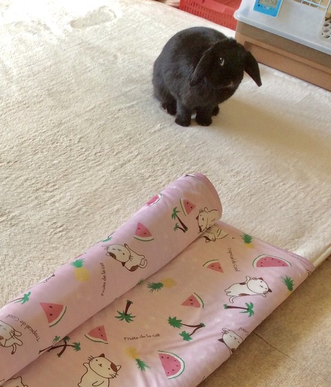 FEBE2870-D4C7-4722-90F4-EFB85B0A8123