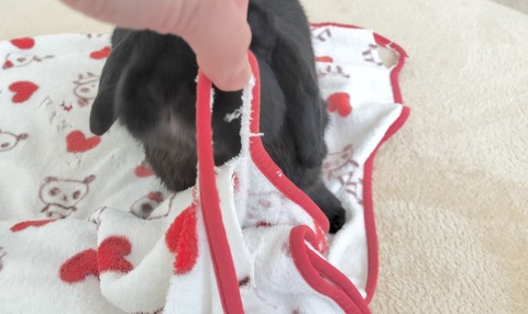 0E7281AA-FC81-477D-89EC-7FC549C986A5