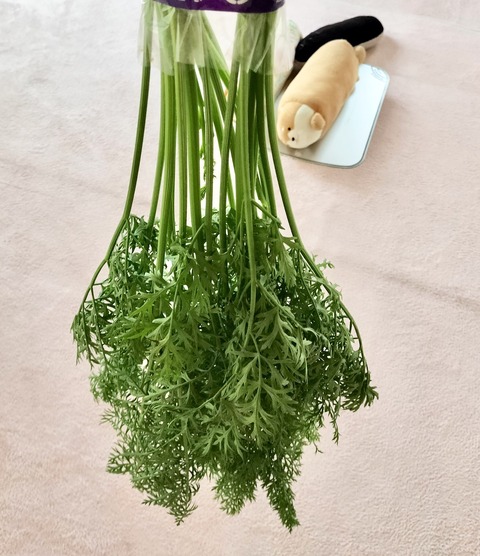 575AB62C-3D69-4D02-B045-345C7E1990A5