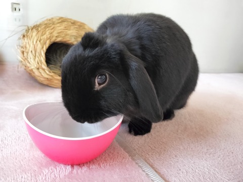 6A52A38F-0C0B-4727-B3CF-7116F0CC4CC1