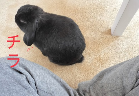 BCAF2760-B87F-47BF-ACB8-0B41F0FBE452