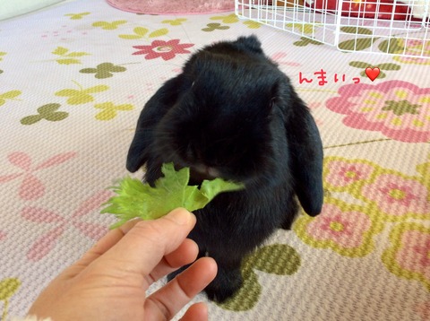 D5674864-1901-4F46-B023-1F13B696C2E8