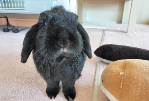 8AAE059D-660C-407A-B31B-22E2163B3B26