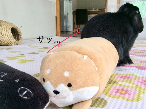 5691A45B-33C7-419A-A196-F79EF2BBDDCA