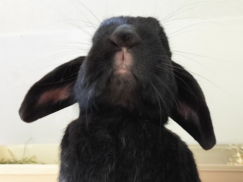 4ED1E5B9-C016-4334-912A-9E69E5632AE4