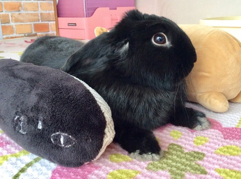 8D3237AD-F911-4037-B528-0D09CE710625