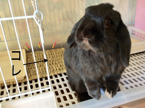 85AA0DE7-4984-4E18-87B8-F73CCAB72195