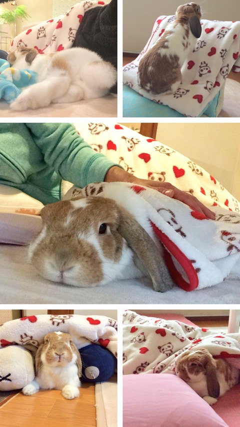 E53E67D4-7202-42B5-B658-F79556ACB9E7