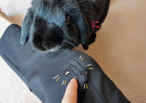 81CD7D96-BA1F-4C76-AA6F-D365F430FA41