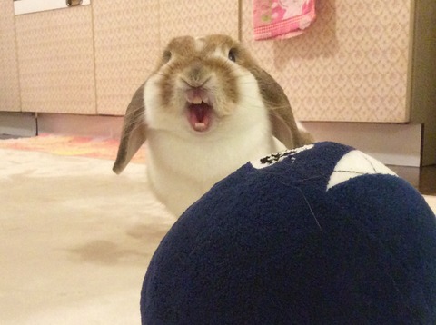 81A2676A-B889-4773-9BA6-79DB15A21A6F